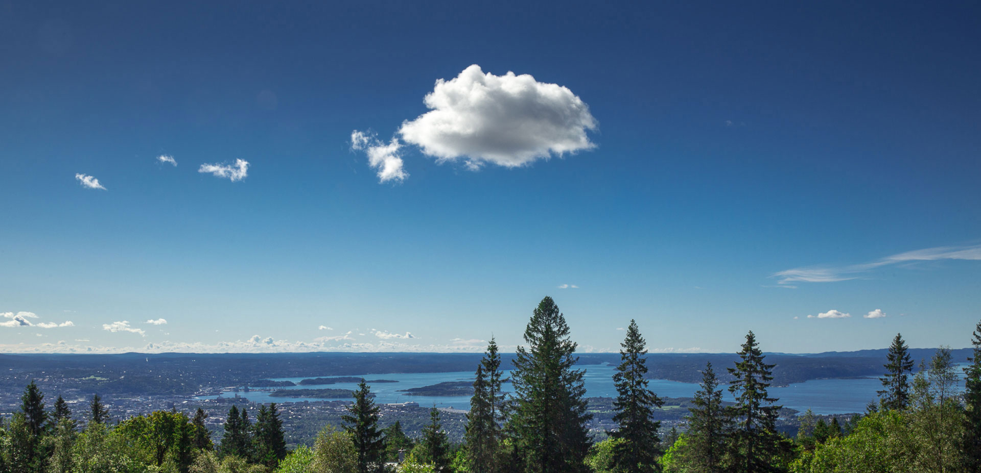 Voksenåsen